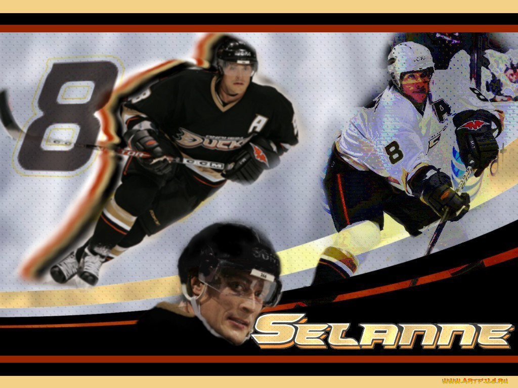 selane, , nhl